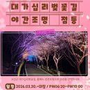 대가면 옥성리 산 30-1 | 경남 고성 대가십리벚꽃길 벚꽃 드라이브 명소 개화상황 야간조명 점등 시간