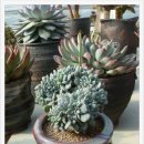 진원농장2 이미지