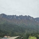 소노펠리체 델피노 이미지