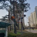 송학지안리즈아파트 이미지