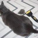 나미컴퍼니 이미지