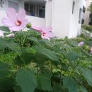 선녀탕집 이미지