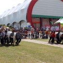 제17회 장수 한우랑 사과랑 축제 이미지
