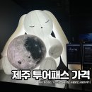 제주포인트투어 | 제주 투어패스 가격 아르떼뮤지엄 사용방법 사용처 후기