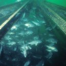 숙영목장 이미지