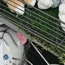 가양동피부과 써마지 부작용 걱정될 경우