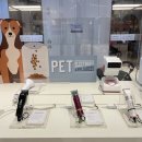 몰리스펫샵 센텀 이미지