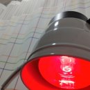 남양정형외과의원 이미지