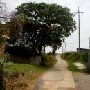 평서원목장 이미지