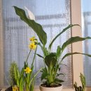 대화할인마트 이미지