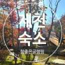 제천클라우드글램핑 이미지