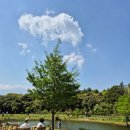 의귀리 | 제주/남원 도민이 강력 추천하는 힐링 정원 카페, ‘담소요’ 내돈내산 후기