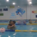 네오키즈스윔 이미지