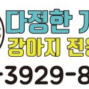 다정한 개아빠 이미지