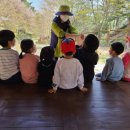 봉수산수목원 이미지