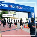 제물포서울터널 | [2025 인천마라톤]10KM 후기 (코스, 기념품, 링티, 덱스트)