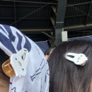 중앙-15 | 260405 잠실야구장 중앙네이비 322구역 15열 시야 후기