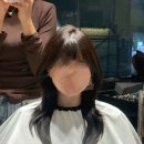 남성컷트본