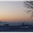 안선목장 이미지