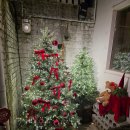 데구르르 | 부산 서면 전포 새벽 2시 늦게까지 하는 카페 데구르르