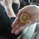 영월유앤아이펜션 이미지