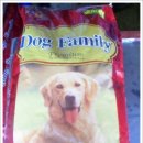 엄마손동물병원 이미지