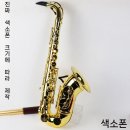 색소폰 | 입문자 색소폰 구매후기