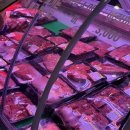 한구목장 이미지