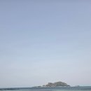 TOP카센타 | 제주도에서 많이 타는 중고차 추천 TOP 5 (도민이 말하는 진짜 차량)