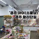 인형샾 | 경주 황리단길 핸드메이드 키링, 기념품 소품샵 리뷰 후기 : 경주아이 (I) 추천 (뜨개꽃)