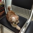 한솔동물병원 이미지