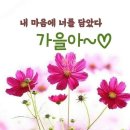 오늘(9월1일)의 운세 이미지