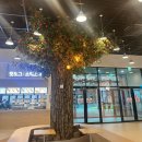 153포인츠부대찌개예산점 | 휴게소맛집 휴게소추천 예산예당호 휴게소 간식