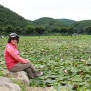 성지산공원 이미지