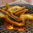 신참아나고 이미지