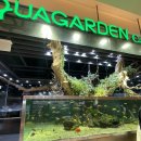 데메골 | 잠실데이트 하기 좋은 아쿠아가든카페 롯데월드몰점(feat.물멍)