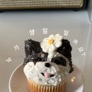 개슈(GAESHU) 이미지