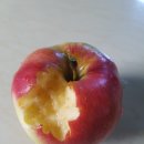 배티농장 이미지