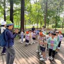 충주남산유치원 이미지