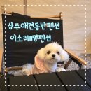 이소리111 멍펜션 | 상주애견동반펜션 강아지가 뛰어놀기 좋은 『이소리111멍펜션』