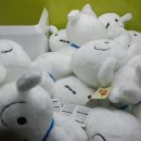 흰둥이네 인형뽑기 이미지