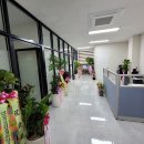 김앤케이법률사무소 이미지