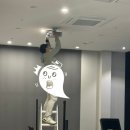 지디알(GDR) 아카데미 언더점 이미지