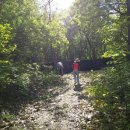 진산농장2 이미지