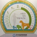 리틀쥬동물의료원 이미지