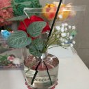 Lovely | 코코도르 카네이션 디퓨저 (양재동꽃시장, Lovely Carnation) 후기