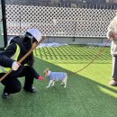 헬로우버디 이미지