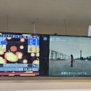 야호게임장 이미지