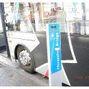 킹스가든(King´s Garden) 이미지