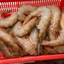 행복한온누리 이미지